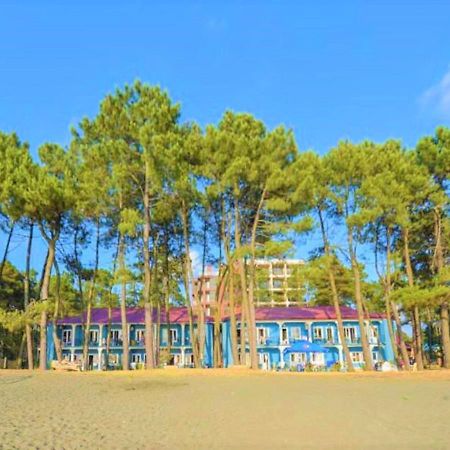 Evrika Hotel Shekvetili Εξωτερικό φωτογραφία