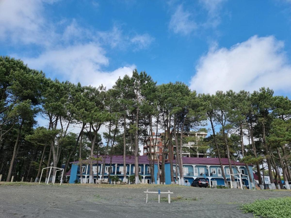 Evrika Hotel Shekvetili Εξωτερικό φωτογραφία