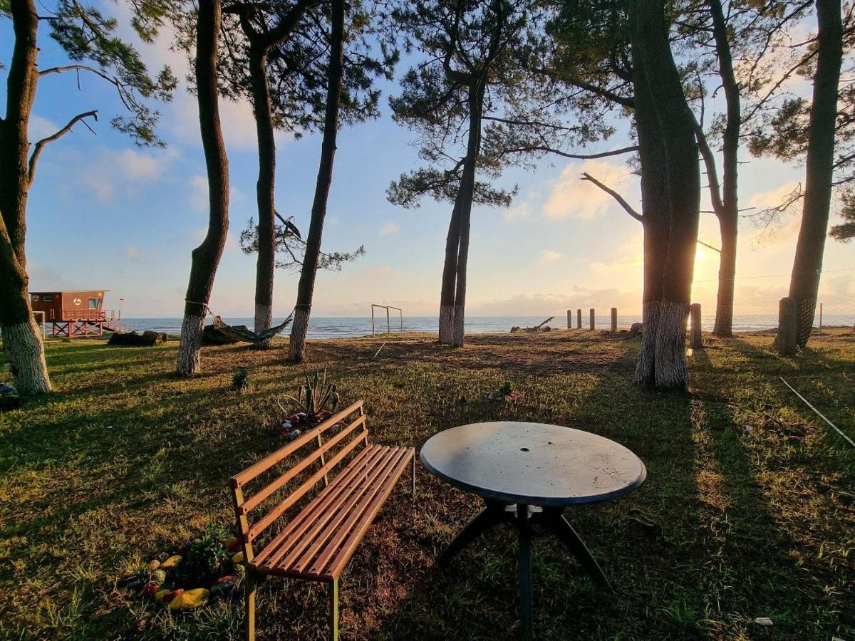 Evrika Hotel Shekvetili Εξωτερικό φωτογραφία