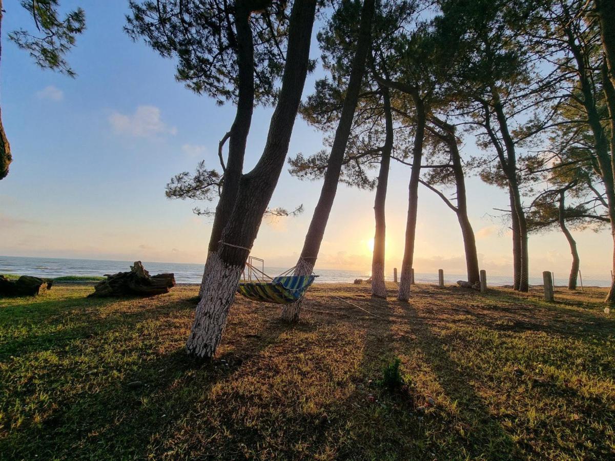 Evrika Hotel Shekvetili Εξωτερικό φωτογραφία