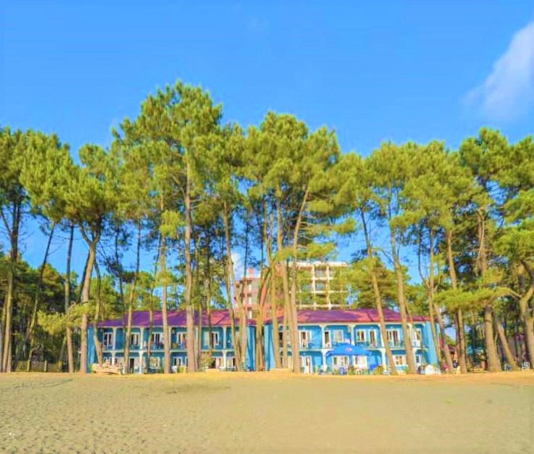 Evrika Hotel Shekvetili Εξωτερικό φωτογραφία