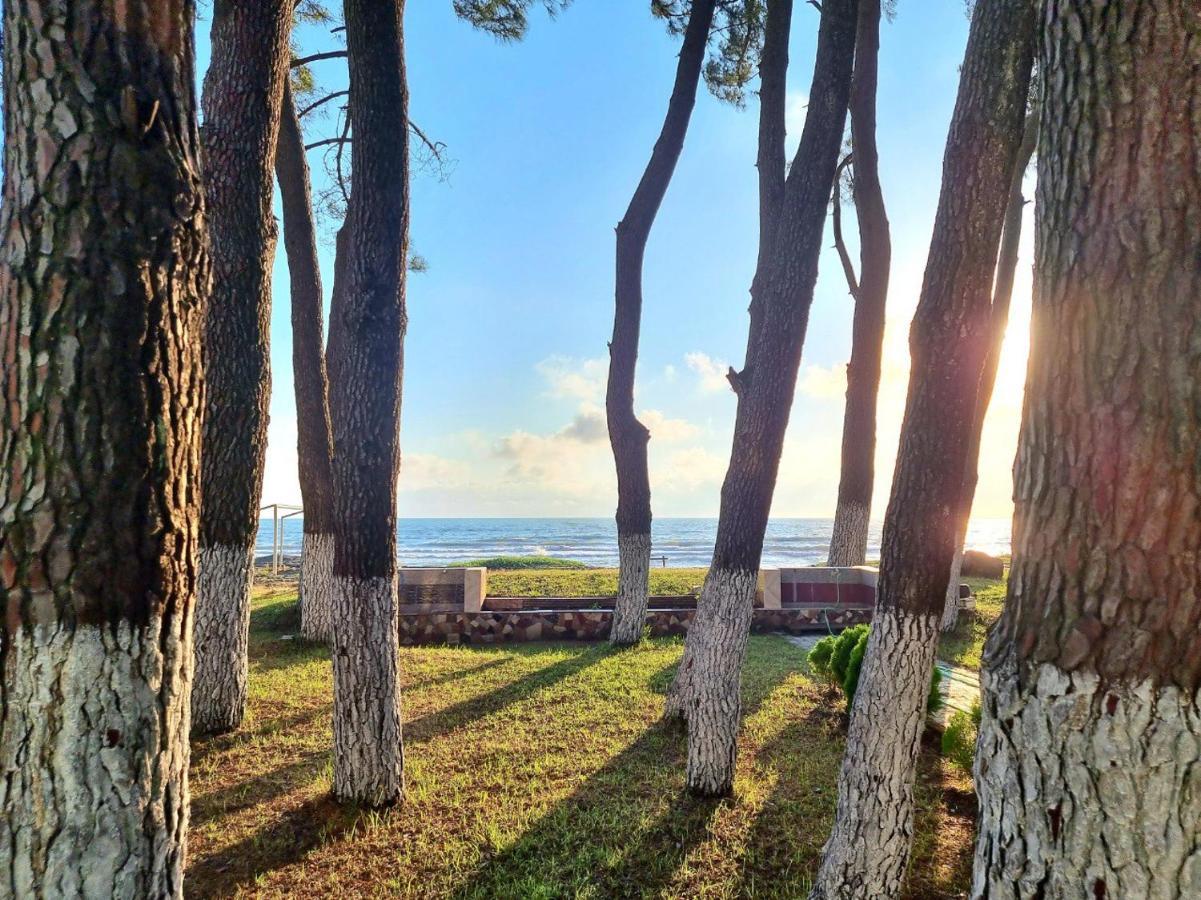 Evrika Hotel Shekvetili Εξωτερικό φωτογραφία