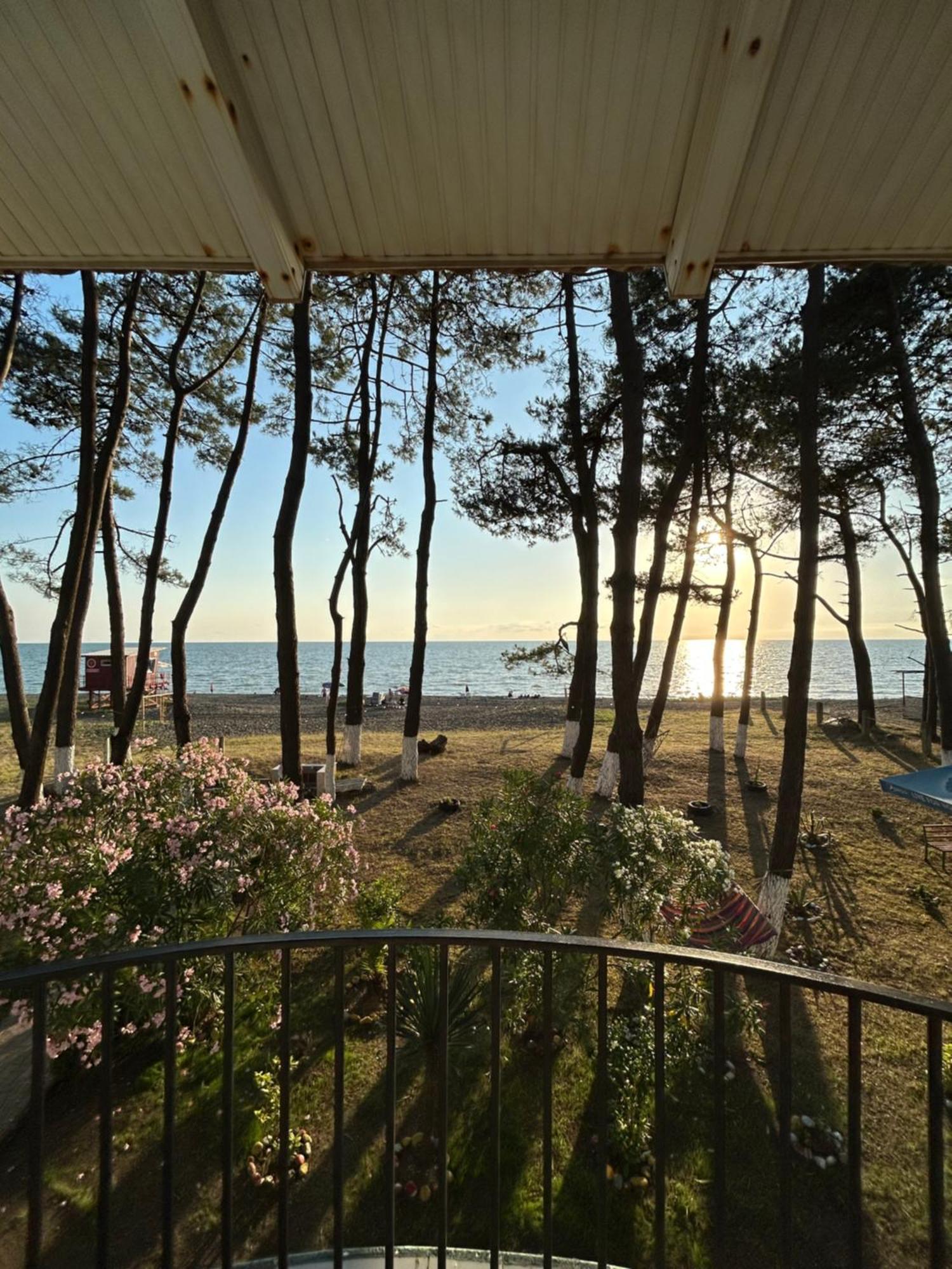Evrika Hotel Shekvetili Εξωτερικό φωτογραφία